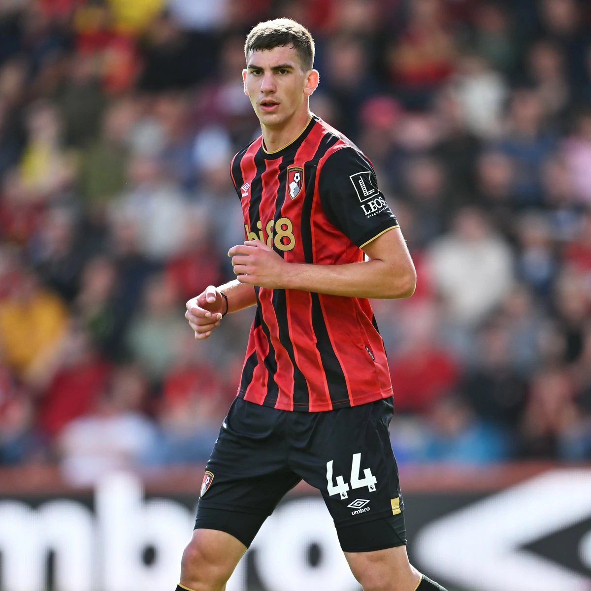 Veljko Milosavljevic – Bournemouth